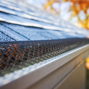 Roof and Gutter Cleaning